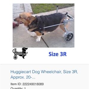 Dog wheelchair for corgi. New